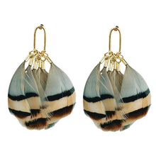 Brown Striped Feather Tassels