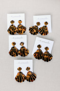 Brown Tortoise Shells