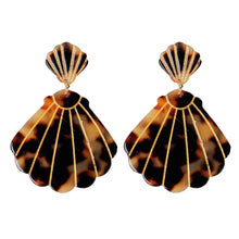 Brown Tortoise Shells