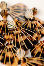 Brown Tortoise Shells