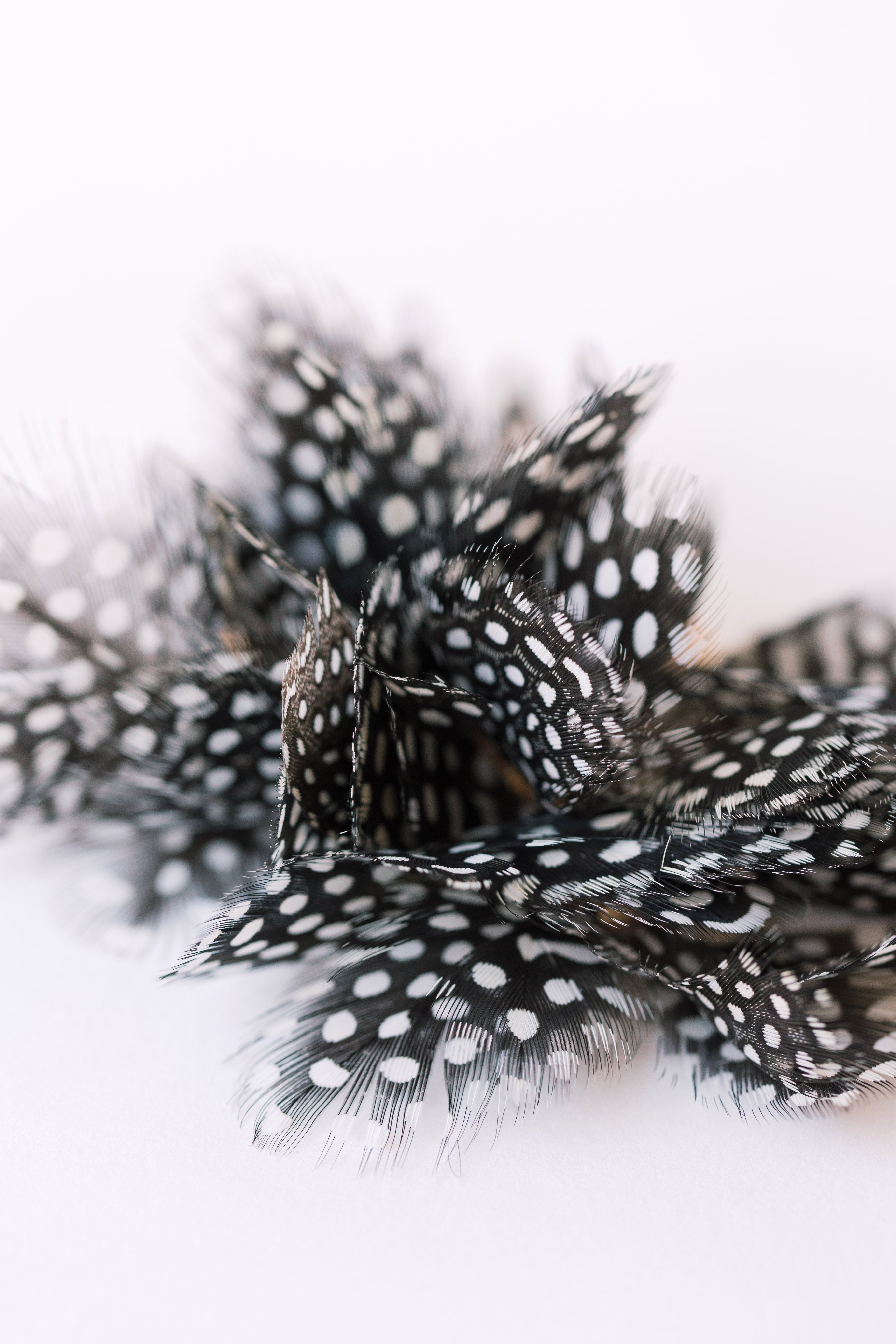 Spotted Feather Tassels